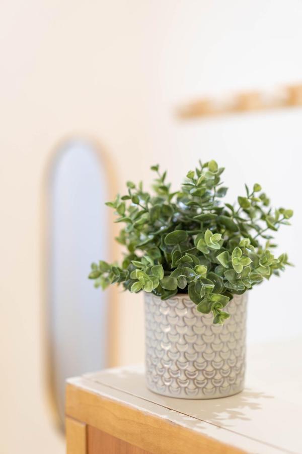 Apartment Cosmea By Dimorra